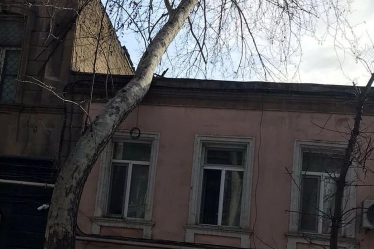 Bakıda ağac evin üzərinə aşdı