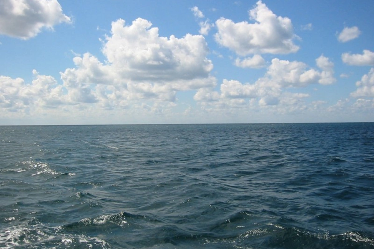 Bakıda ana 3 günlük körpəsini dənizə ataraq öldürüb Bakıda ana 3 günlük körpəsini dənizə ataraq öldürüb