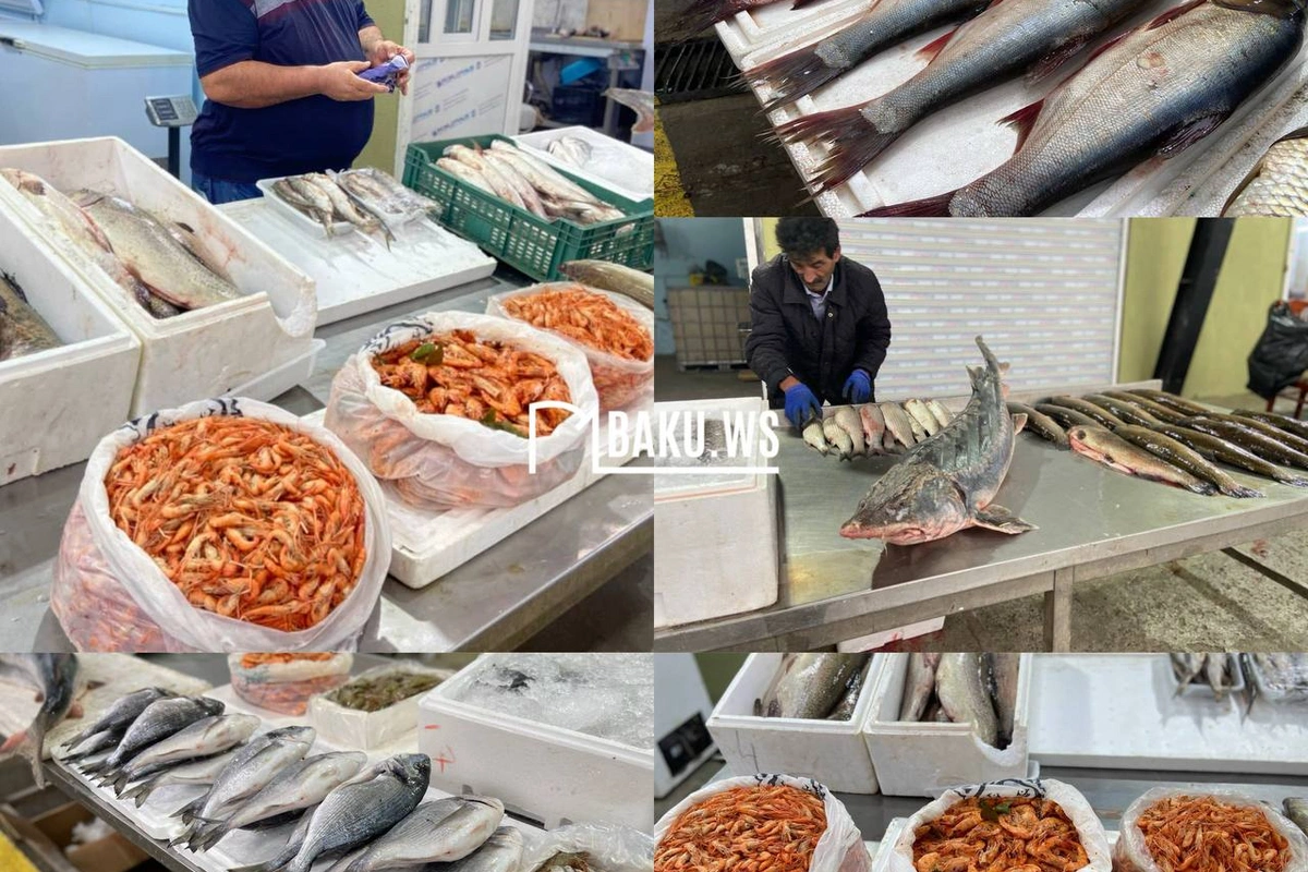 Bakıda balıq yarmarkası fəaliyyətə başladı