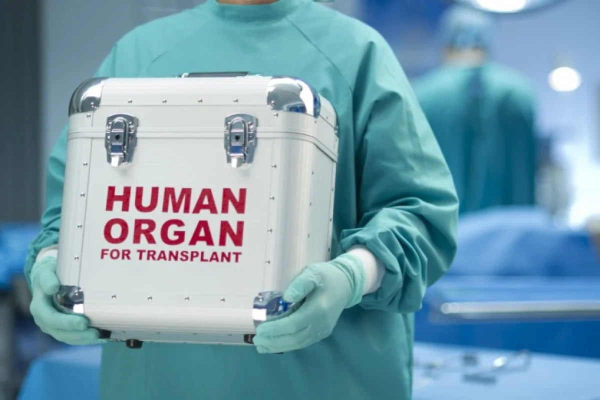 Bakıdakı tibb müəssisələrinin birində kök hüceyrələrin transplantasiyası həyata keçiriləcək - QƏRAR Bakıdakı tibb müəssisələrinin birində kök hüceyrələrin transplantasiyası həyata keçiriləcək - QƏRAR
