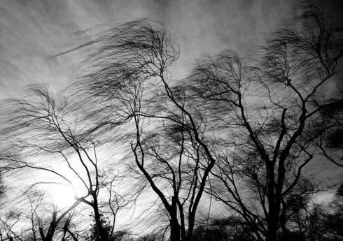 Bazar günü hava küləkli olacaq