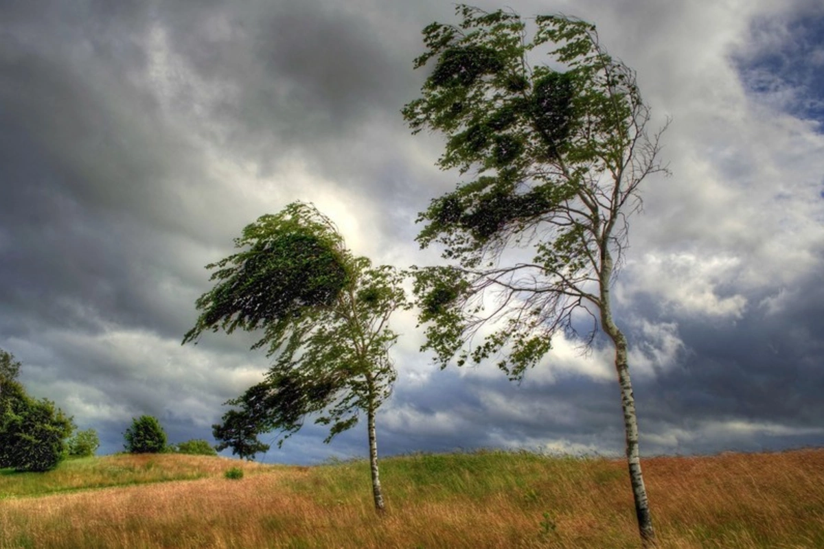 Bəzi ərazilərdə yağış yağır, güclü külək əsir - FAKTİKİ HAVA