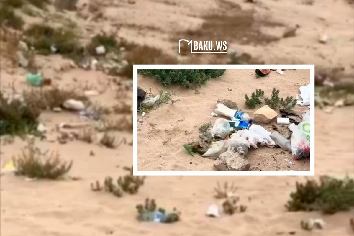 Bilgəhdə zibilxanaya çevrilmiş çimərlik - Qarpız qabıqları, 