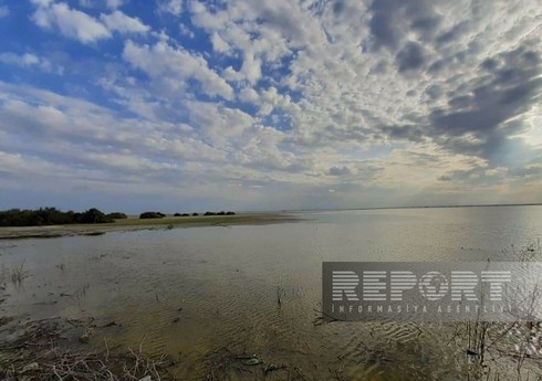 Biləsuvarda ovçuluq təsərrüfatında köçəri quşların sayı azalıb