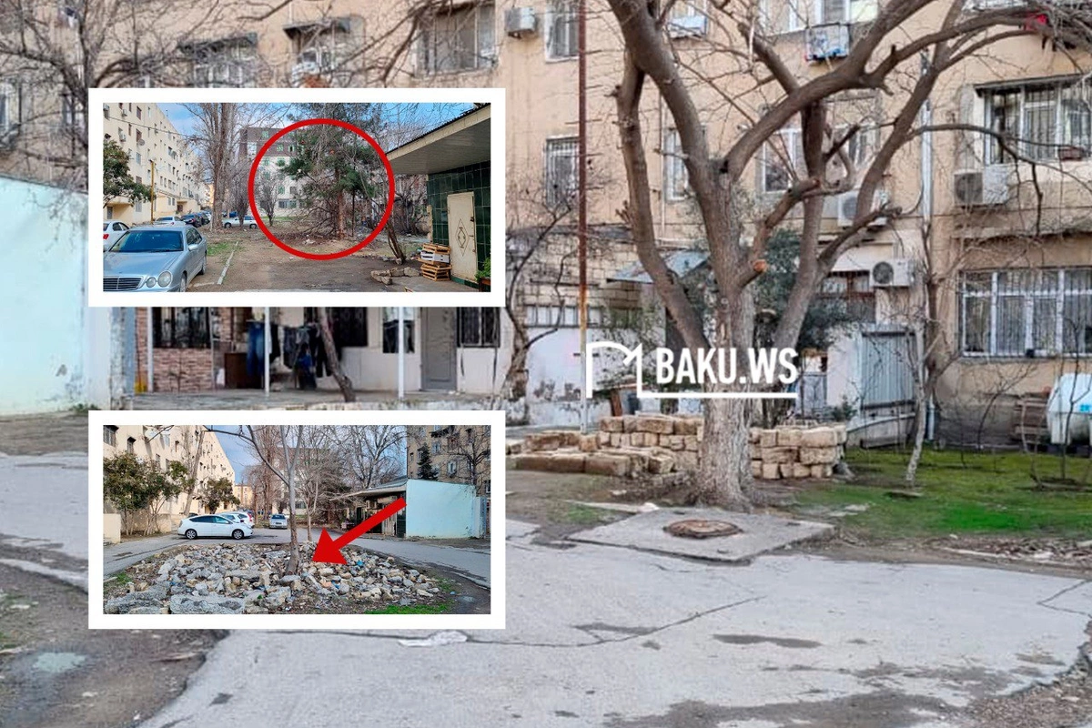 Binaların qarşısı acınacaqlı VƏZİYYƏTDƏDİR - İstirahət üçün heç bir ŞƏRAİT YOXDUR Binaların qarşısı acınacaqlı VƏZİYYƏTDƏDİR - İstirahət üçün heç bir ŞƏRAİT YOXDUR