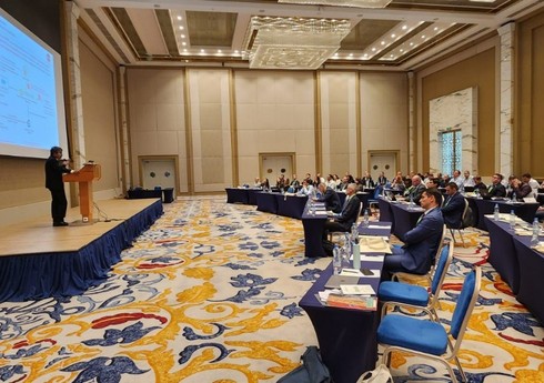 Bir sıra ölkələr Azərbaycanın aqrar sığortada peyk məlumatlarından istifadə təcrübəsi ilə maraqlanır