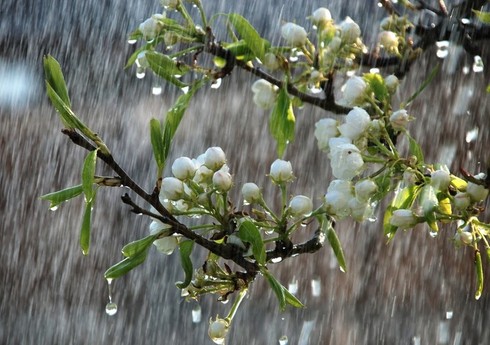 Bir sıra ərazilərə leysan xarakterli yağış, Şahdağa qar yağıb – FAKTİKİ HAVA Bir sıra ərazilərə leysan xarakterli yağış, Şahdağa qar yağıb – FAKTİKİ HAVA