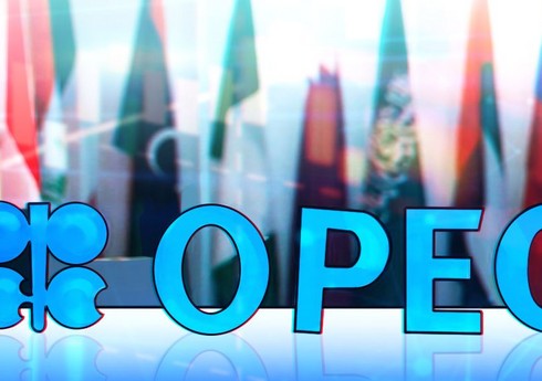 Bloomberg: BƏƏ-nin OPEC-dən çıxmaq planı yoxdur