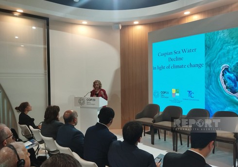 BMT-nin proqram rəhbəri: Xəzərin dayazlaşması regionun ərzaq təhlükəsizliyini təhdid edir