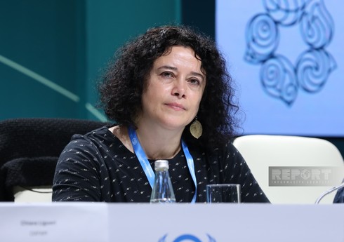 BMT-nin xüsusi məruzəçisi: Dövlətlər iqlim dəyişikliyinin mənfi təsirinin qarşısının alınmasına görə məsuliyyət götürməlidir