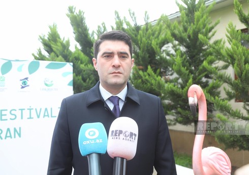 Bu gün bir milyondan çox balıq körpəsi Xəzər dənizinə buraxılıb