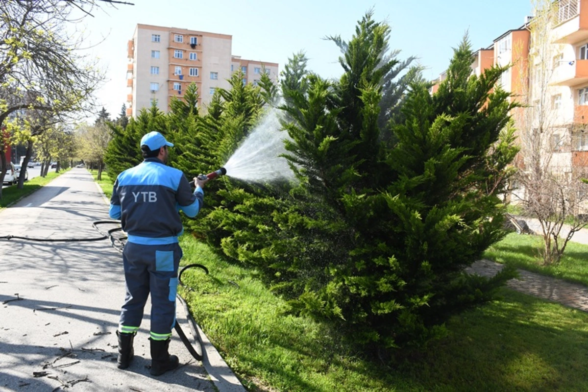 Bu gün paytaxtın 556  küçəsi yuyuldu