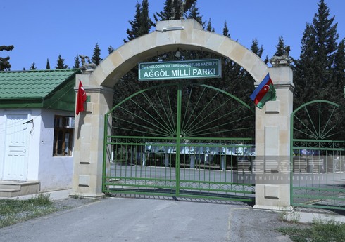 Bu il Ağgöl Milli Parkında 78 minə yaxın ornitofauna nümunəsi qeydə alınıb