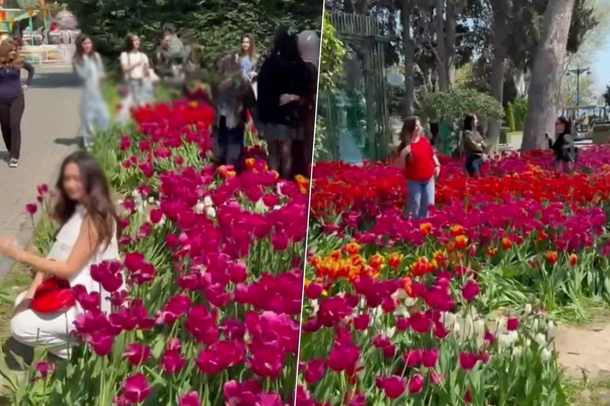 Bulvarda gülləri əzən 10 nəfər polisə çağırıldı