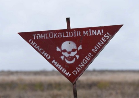 Cəbrayılda şirkət əməkdaşı minaya düşüb, üç barmağı amputasiya edilib