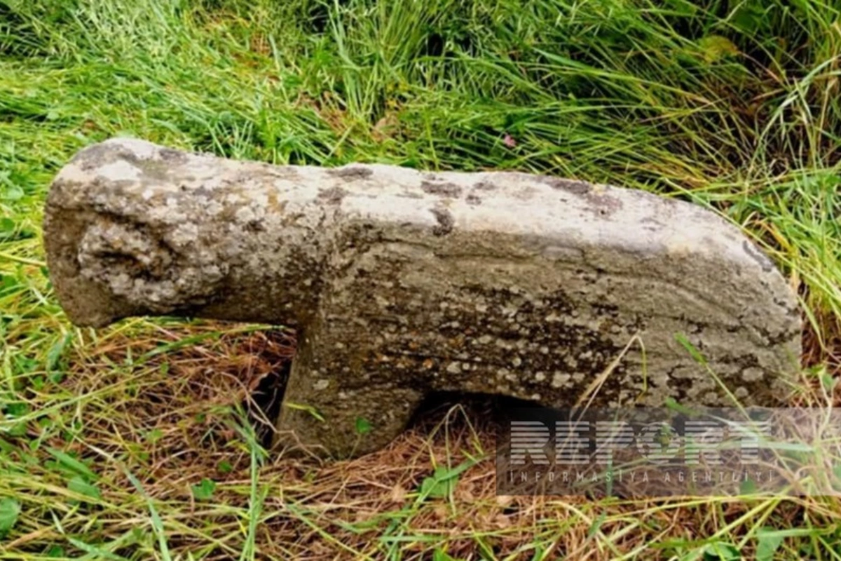 Cəlilabadda aşkarlanan qədim qoç heykəlləri - Onlar nə zaman rəsmi qeydiyyata alınacaq?