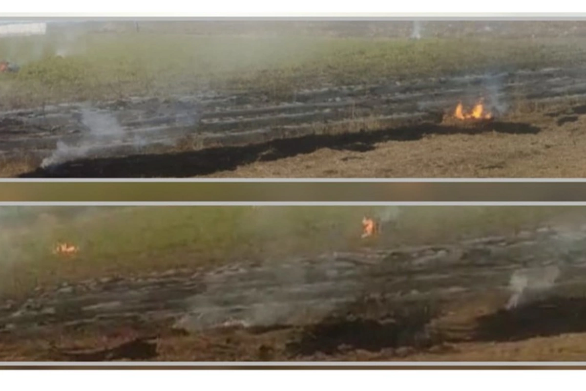 Cəlilabadda yanğın törədən şəxslər məsuliyyətə cəlb olunublar