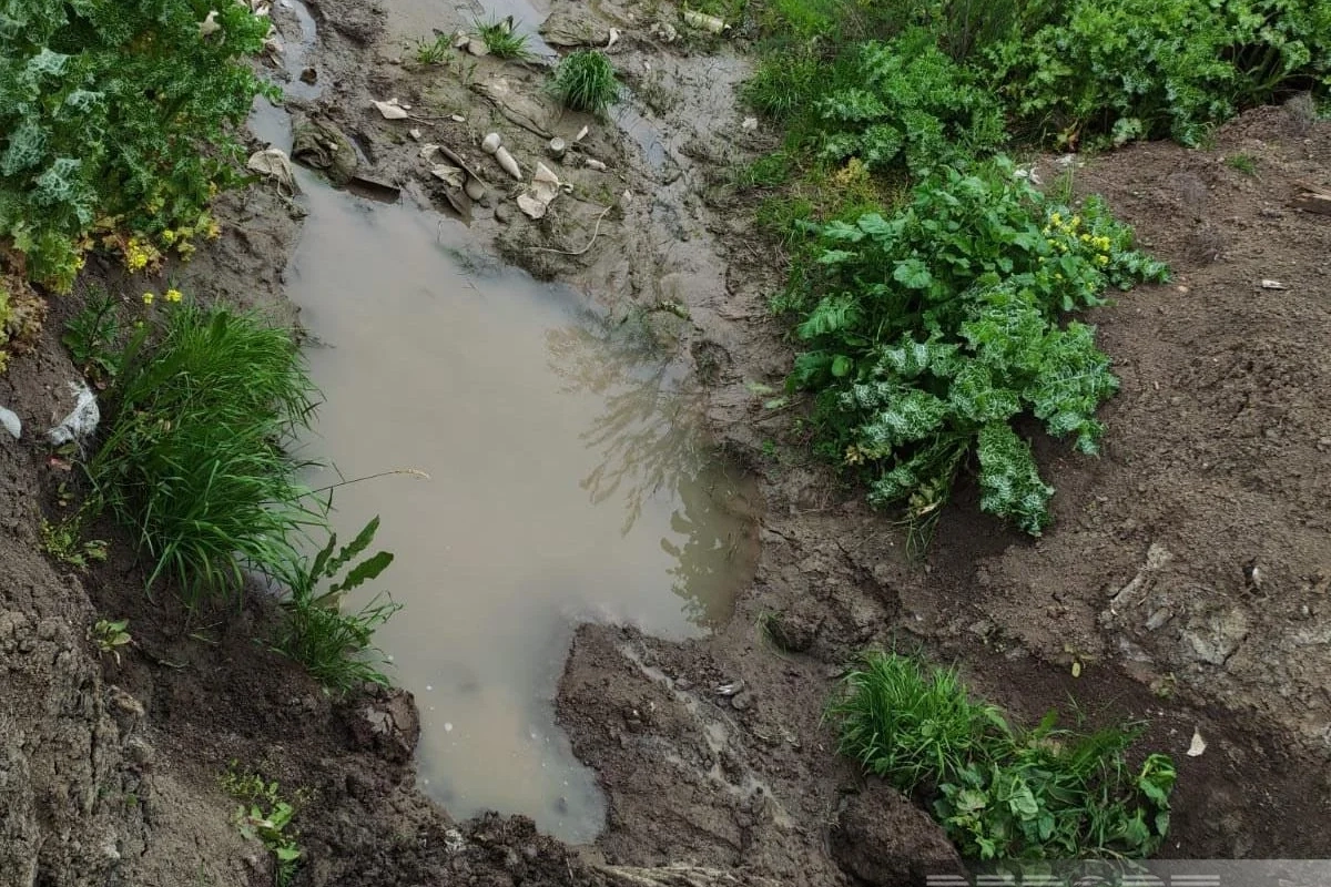 Cəlilabadın Alar kəndində su qıtlığı yaranıb, ADSEA suyun növbə ilə verildiyini bildirib