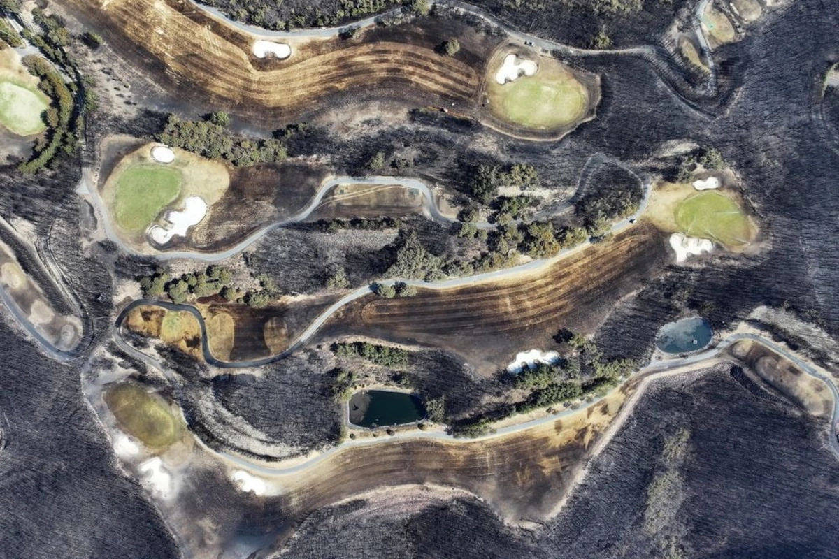 Cənubi Koreyada meşə yanğınları: 104 min hektar ərazi yanıb, 31 nəfər ölüb