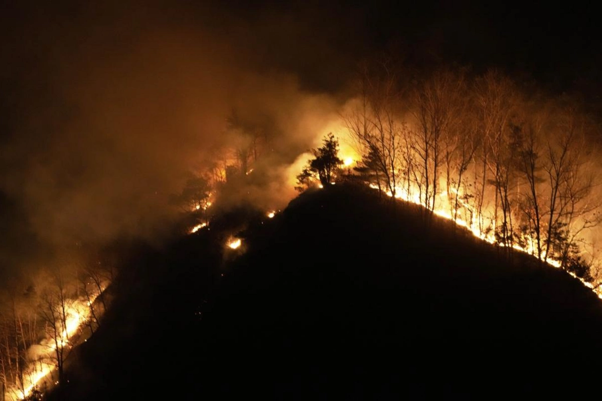 Cənubi Koreyada meşə yanğınları bir həftə sonra nəzarət altına alındı