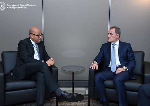 Ceyhun Bayramov BMT-nin İqlim Dəyişmələri üzrə Çərçivə Konvensiyasının icraçı katibi ilə görüşüb