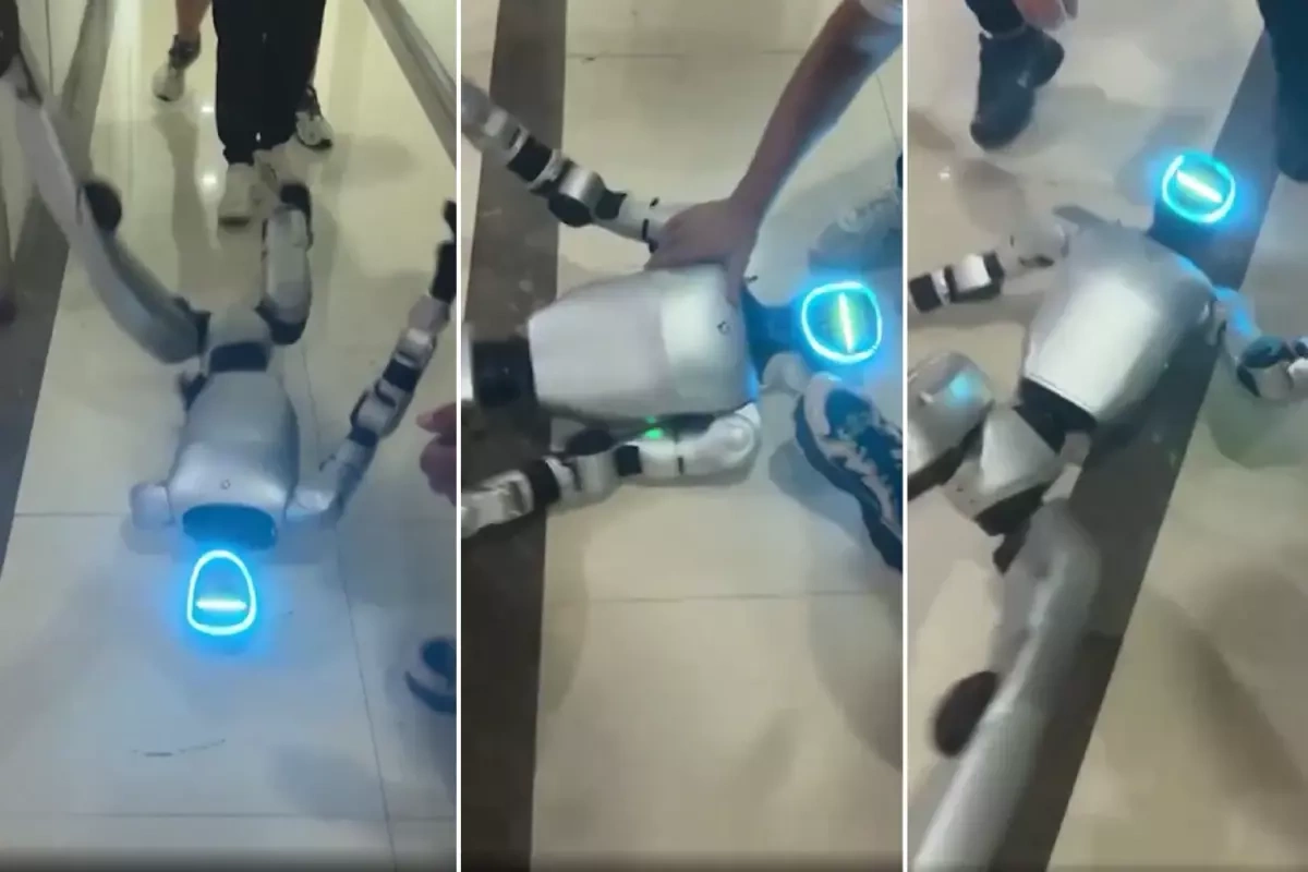 Çində robot proqram səhvi səbəbindən panik atak keçirdi