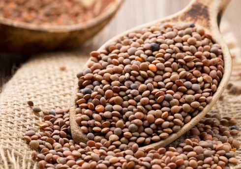 Cəlilabadda mərci sahələri iki dəfəyə yaxın artırılıb 