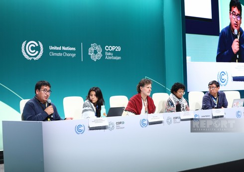 COP29-da Latın Amerikası ölkələrində iqlim dəyişikliyi problemi müzakirə edilib