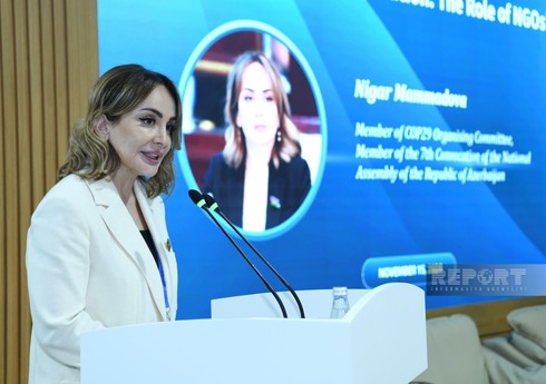 COP29-da tədris proqramlarının yaşıllaşdırılması və pedaqoqların imkanlarının genişləndirilməsi təklif olunub