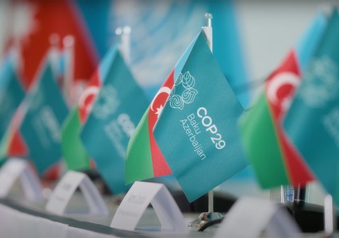 COP29 Könüllülük Proqramının hazırlıq mərhələsi başa çatıb
