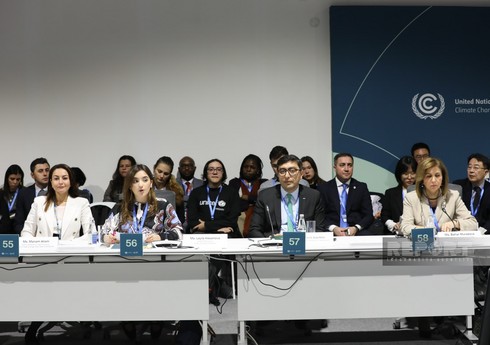 COP29 çərçivəsində Uşaqlar, Gənclər və İqlim Fəaliyyəti üzrə yüksək səviyyəli dəyirmi masa keçirilib