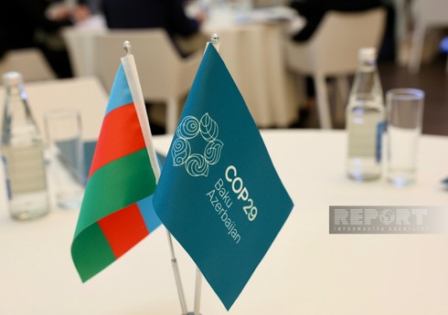 COP29 çərçivəsində “Yaşıl Rəqəmsal Fəaliyyət” üzrə bəyannamə qəbul ediləcək