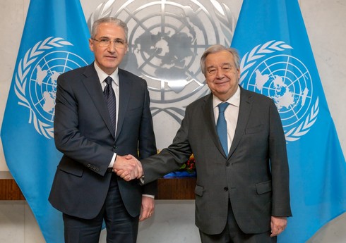 COP29-un prezidenti BMT-nin Baş katibi ilə görüşüb