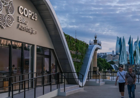 COP29 