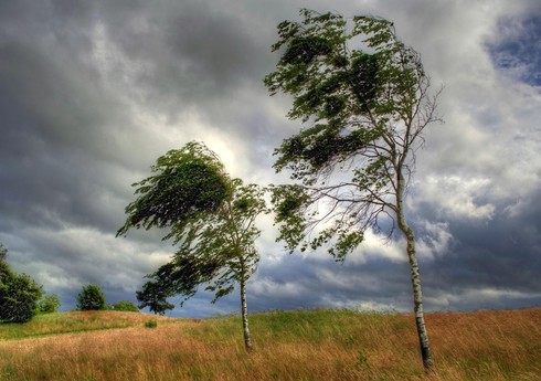 Daşkəsəndə küləyin sürəti saniyədə 23 metrə çatıb - FAKTİKİ HAVA