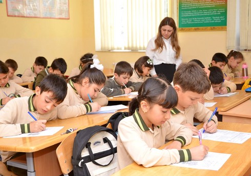 Deputat məktəblərdə media savadlılığının tədris olunmasını təklif edib