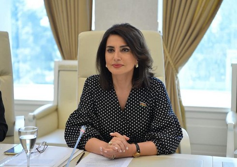Deputat qanunvericiliyə dayələrlə bağlı cəza mexanizminin salınmasını təklif edib