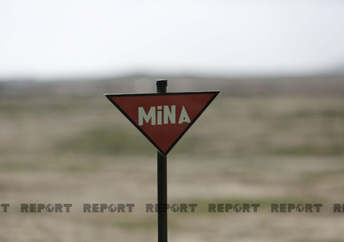 Devid Denman: “Təəssüf ki, Azərbaycan ərazilərinin minalardan təmizlənməsi tez-tez insan tələfatına səbəb olur”