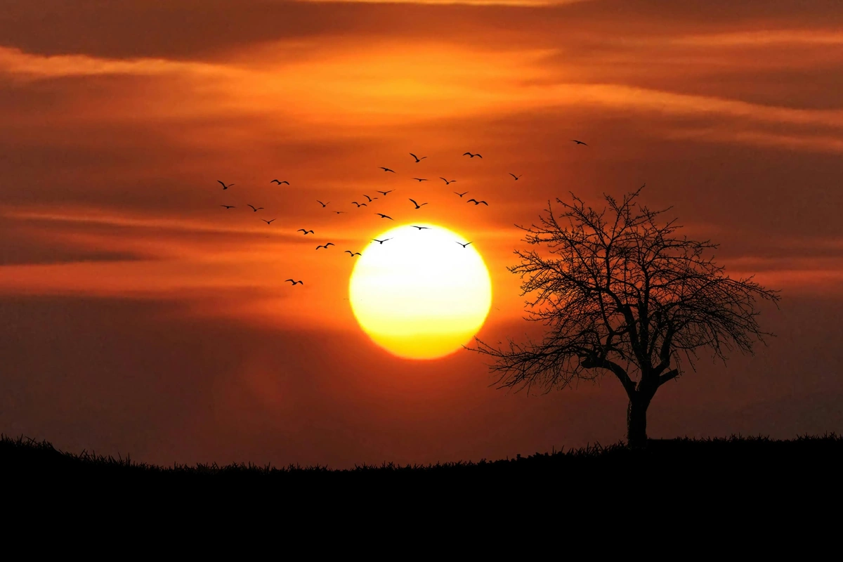 Dünyada 2025-ci il qeydlərə görə ən isti üçüncü il olub