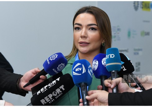 Dövlət Agentliyinin icraçı direktoru: COP29 bütün səslərin eşidilməsini təmin etməkdə mühüm addımlar atıb