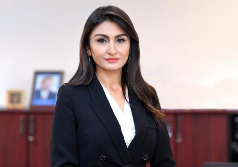 DVX: Azərbaycanda bütün vergi tənzimləmə alətləri milli karbonlaşma tədbirləri ilə uyğunlaşdırılacaq