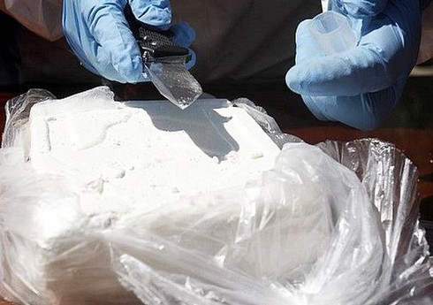 Ekvador hərbçiləri donuz fermasından 22 ton kokain müsadirə edib