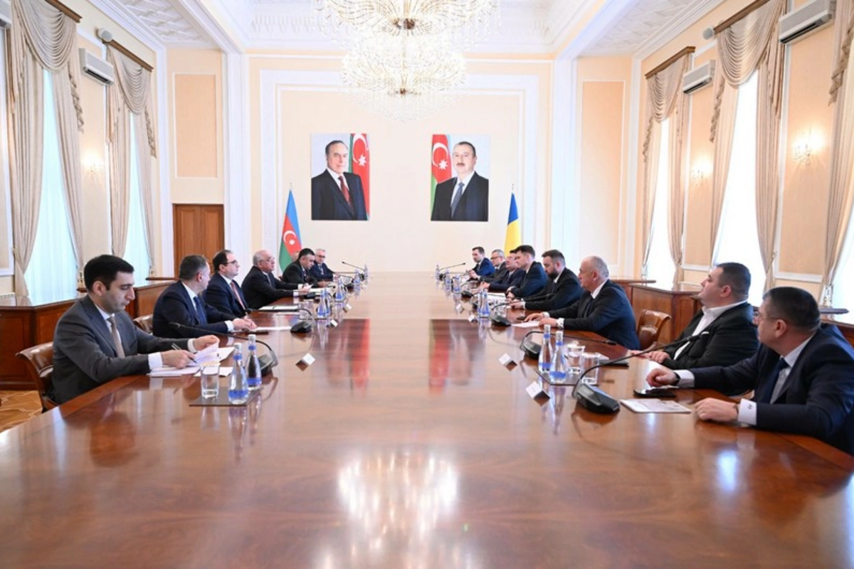 Əli Əsədov Rumıniya Parlamenti Senatının sədri ilə görüşüb