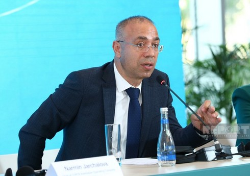 Elnur Sultanov: İqlim maliyyəsi Bakıda keçiriləcək COP29-un əsas müzakirə mövzusu olacaq