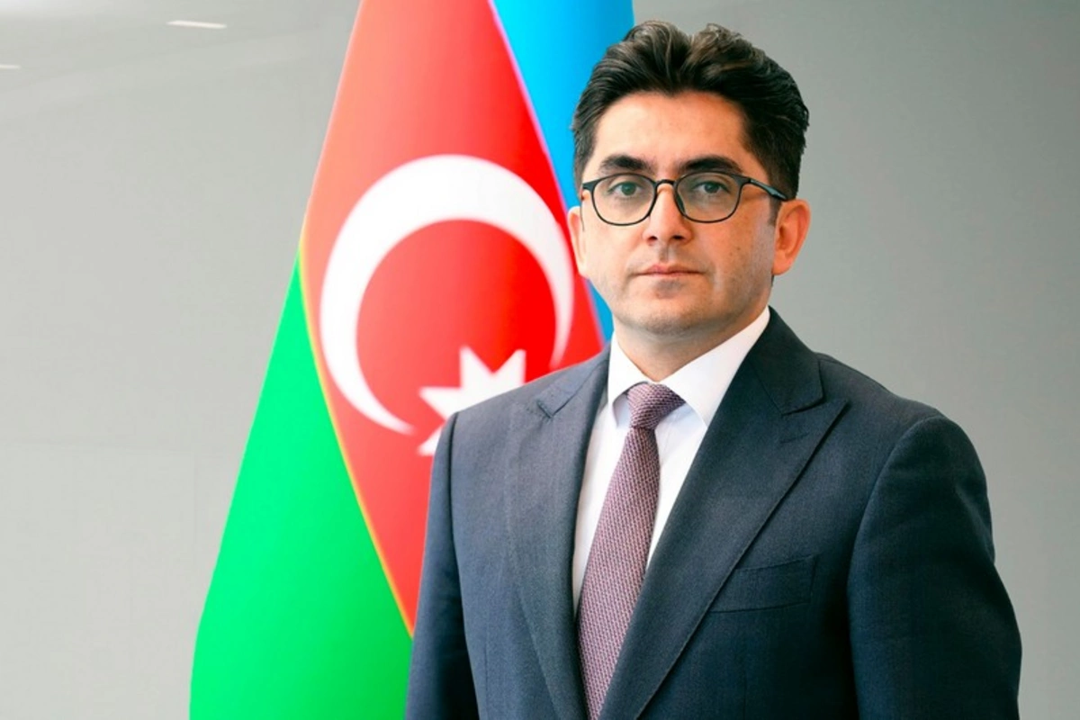 Elvin Camalova yeni vəzifə VERİLDİ