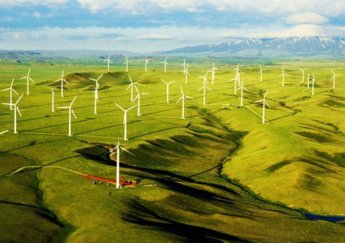 Euronews: Azərbaycan və BƏƏ bərpa olunan enerji layihələri həyata keçirir
