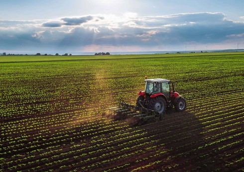 FAO:  Hər il aqrar sistemlərə 1,1 trilyon dollar investisiya yatırılmalıdır