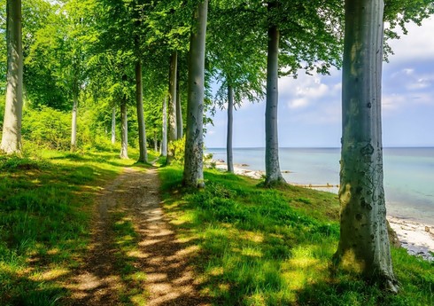 FHN istirahət üçün təbiətə üz tutan vətəndaşlara müraciət edib