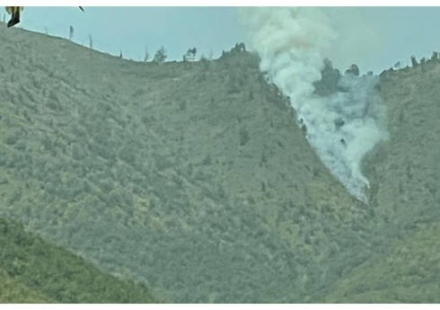 FHN: “Şəkidə yanğının söndürülməsi əməliyyatları davam edir”