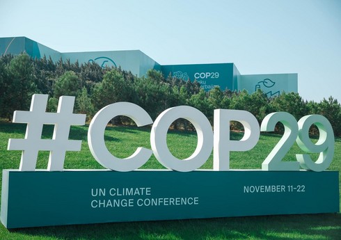 Əfqanıstanlı nümayəndə: Heyətimizin Bakıda COP29-da iştirakı böyük uğur oldu